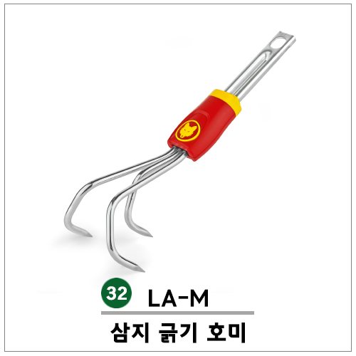 ǰ̹